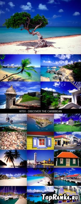 Stock Images - WT01 - Discover The Caribbean