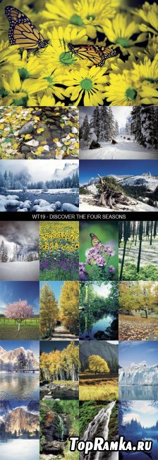 Stock Images - WT19 - Discover The Four Seasons