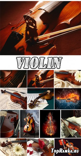 Violin - Rastr Cliparts