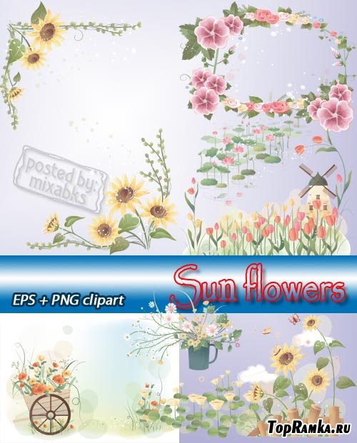     | Sun Flowers (EPS + PNG clipart)