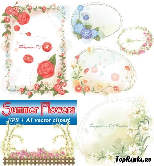   | Summer Flowers (vector frames)