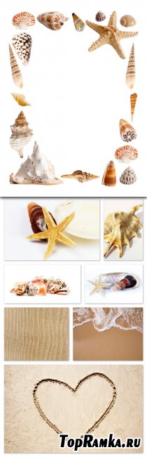 Sea, Shell, Sand Cliparts