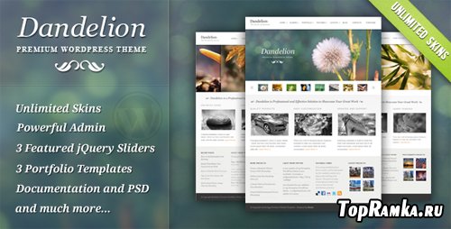 ThemeForest Dandelion - Powerful Elegant Theme v 2.6.6