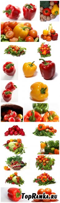 Vegetable Cliparts - vegetables, tomatoes, peppers, greens, white background