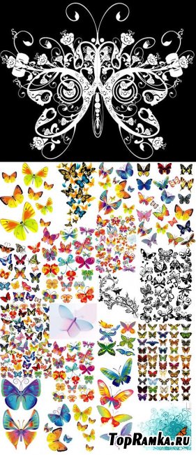 Butterflies Vector Images Bundle