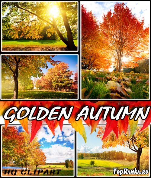   | Golden Autumn Fall (PSD frames)
