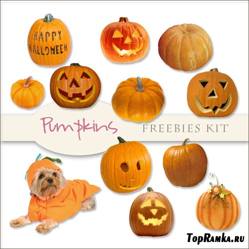 Scrap-kit - Pumpkins Images #1