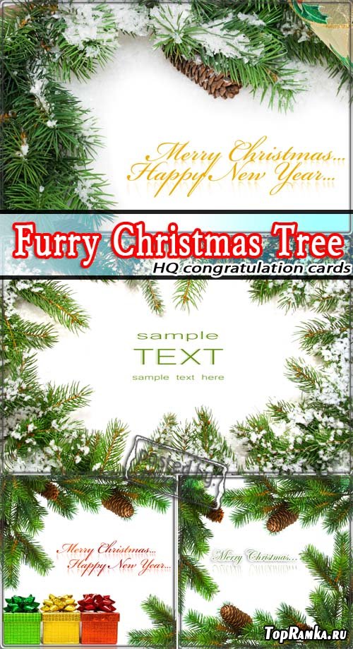     | Furry Christmas Tree (HQ cards)