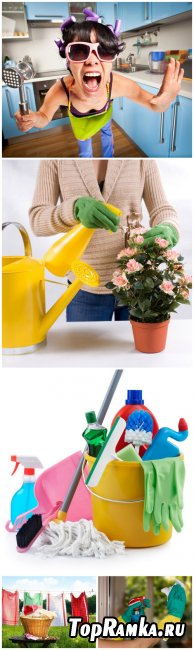 Household Chores - Household chores, laundry, cleaning, kitchen, flowers