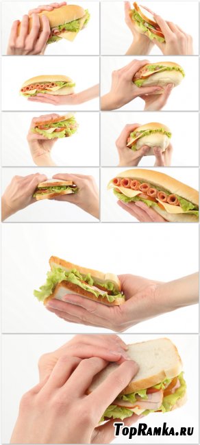 Photo Cliparts - Sandwich In Hand