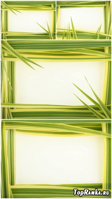 Rastr Cliparts - Green frame