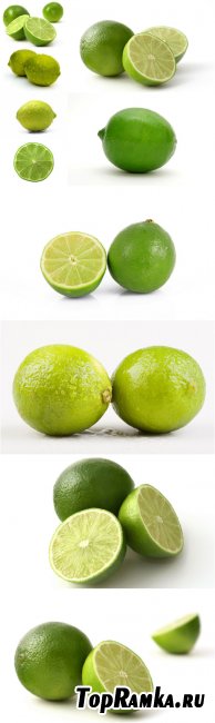 Photo Cliparts - Lime