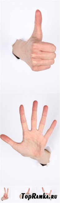 Photo Cliparts - Hand
