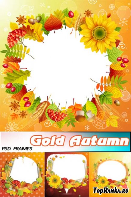   | Gold Autumn (psd layered frames)