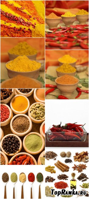 Spice Cliparts - seasoning, spices, pepper