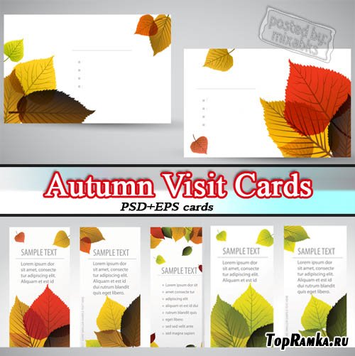     | Autumn Cards (PSD + EPS vector)