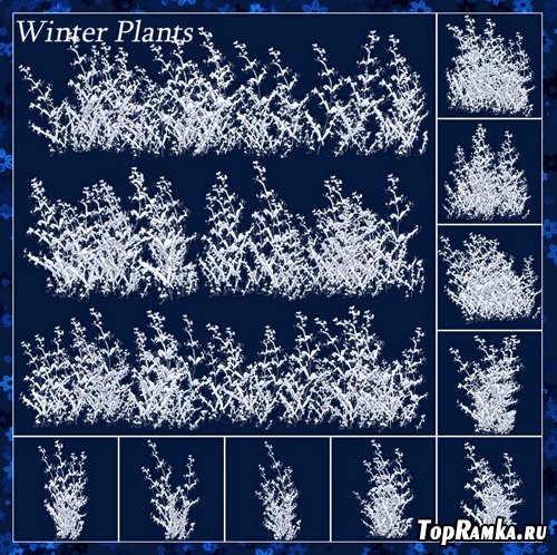 Scrap-kit - Winter Plants