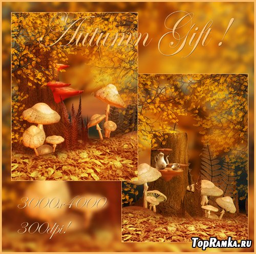 Autumn Gift Backgrounds