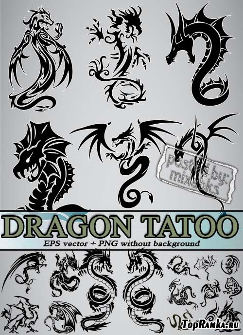   | Dragon Tatoo (eps vector + png)