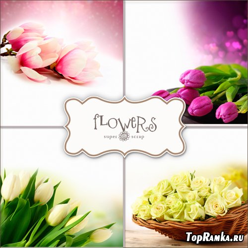 Textures - Flowers Backgrounds #34