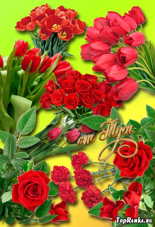 Клипарт - Нежные и красные цветы 