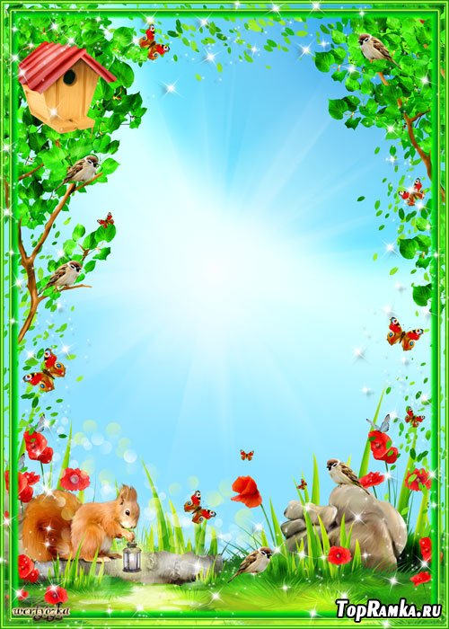 Детская рамка - Белочка на полянке с красными маками и бабочками 