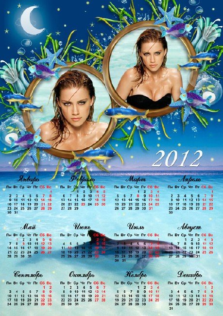 Календарь на 2012 год - Звезды и дельфин