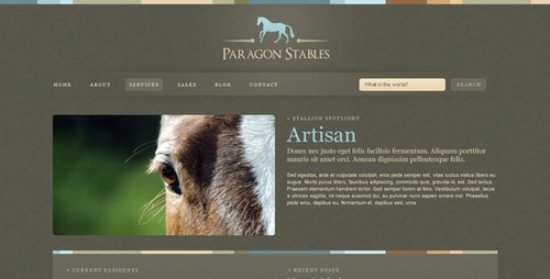 ThemeForest - Paragon (Reupload)