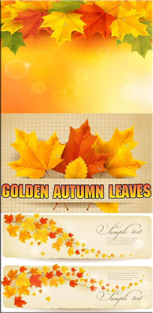    | Gold autumn leafs ()
