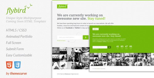 ThemeForest - Flybird - Coming Soon Page - RIP