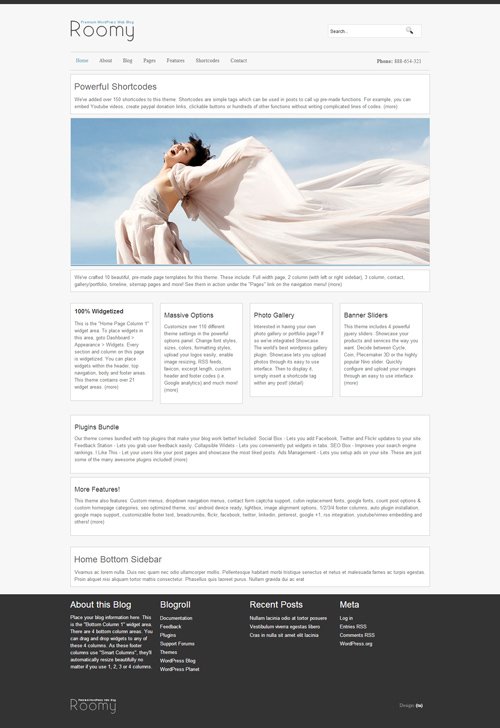 TemplateSold - Roomy - WordPress Template