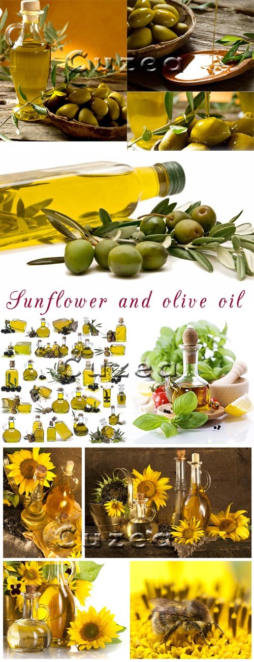 Sunflower and olive oil - Stock photo