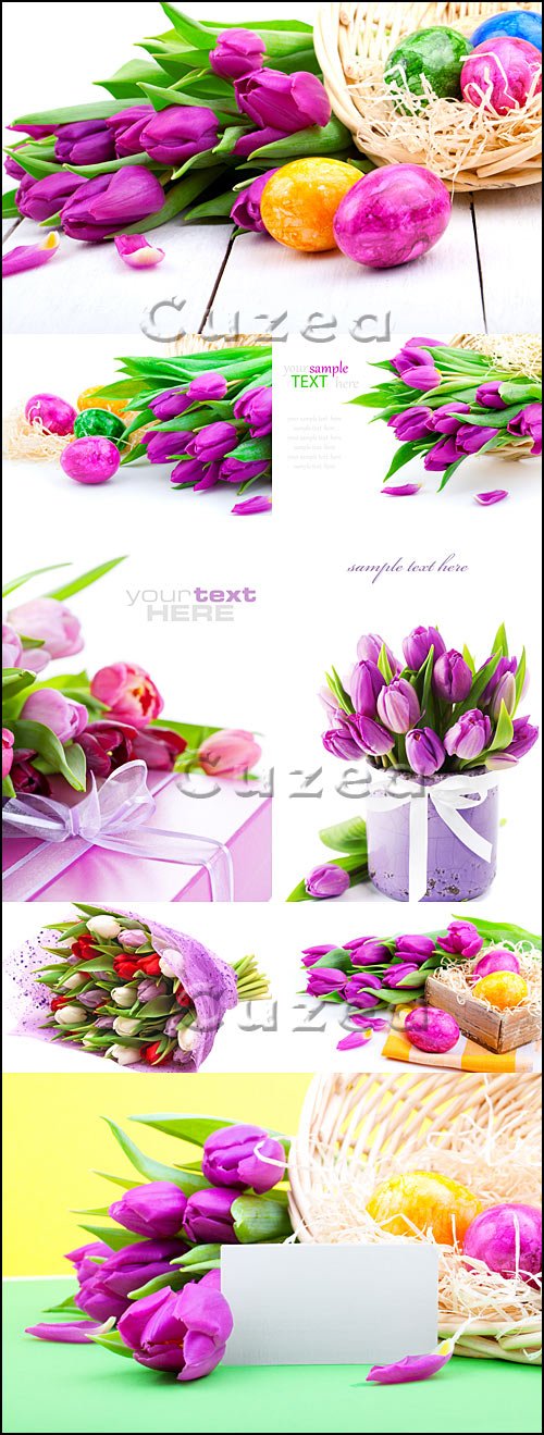      - Stock photo - Lilac tulips and Easter eggs