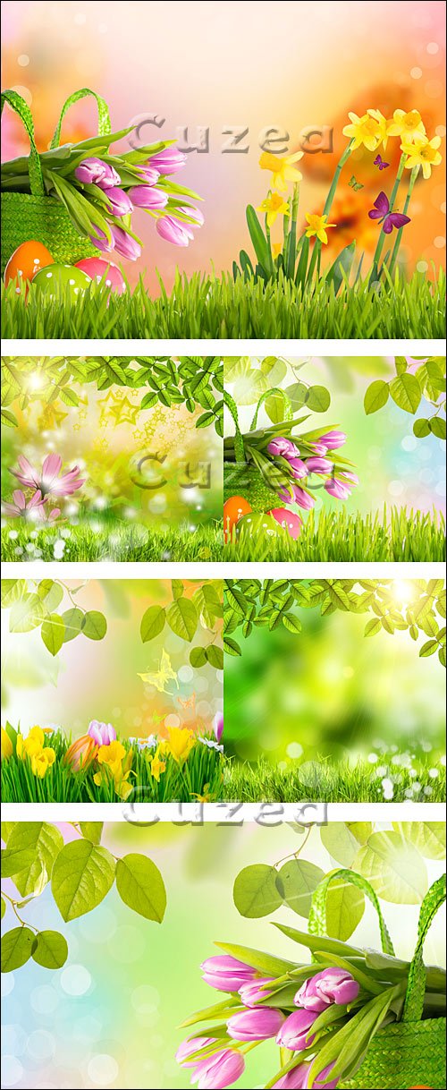   / Nature green spring - Stock photo