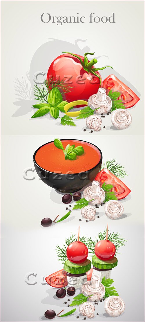     / Background with fresh vegetables, tomatoes, mushrooms, olives in vector