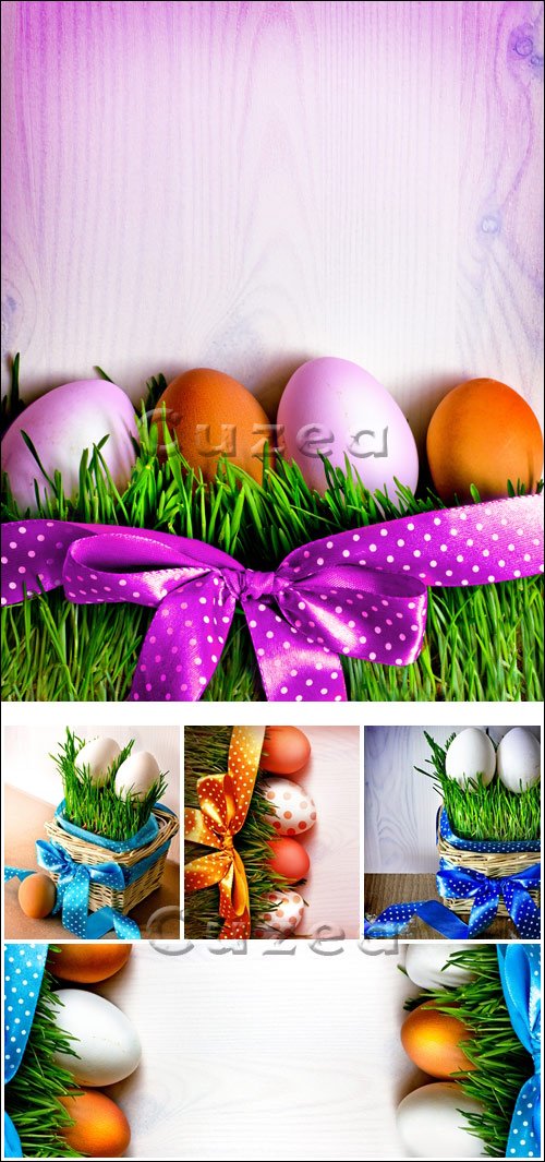       / Easter eggs with ribbons on wood  background