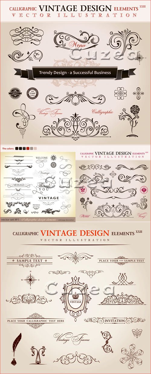   / Vintage ornaments elements in vector