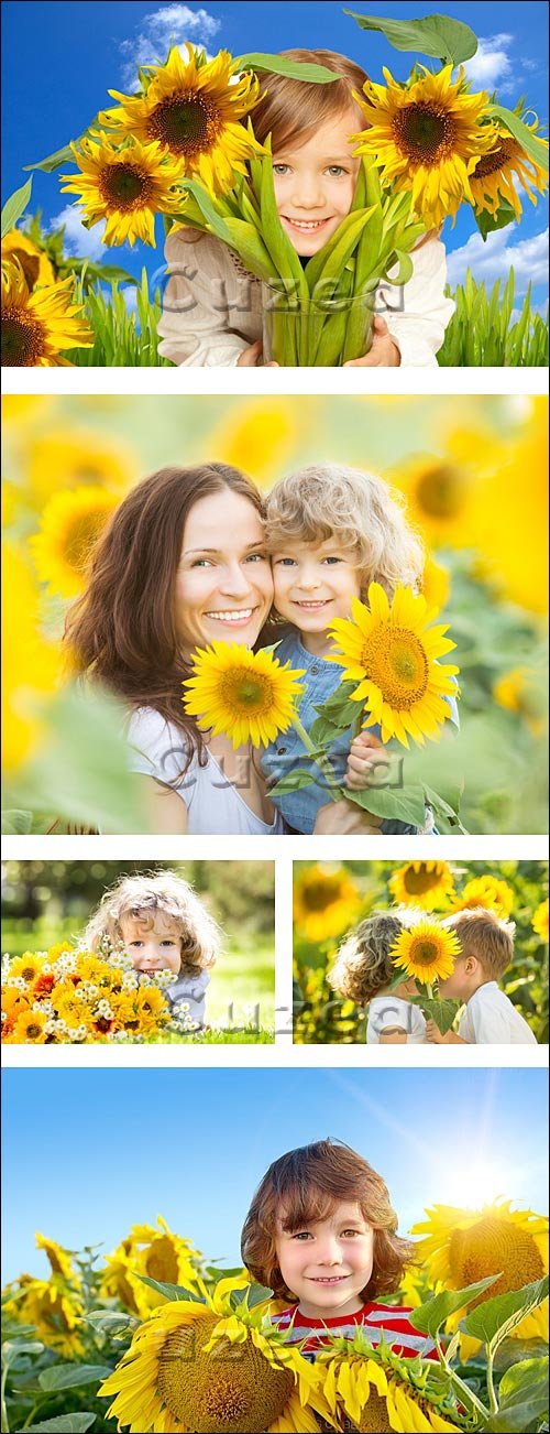  / Peoples in sunflowers - Stock photo