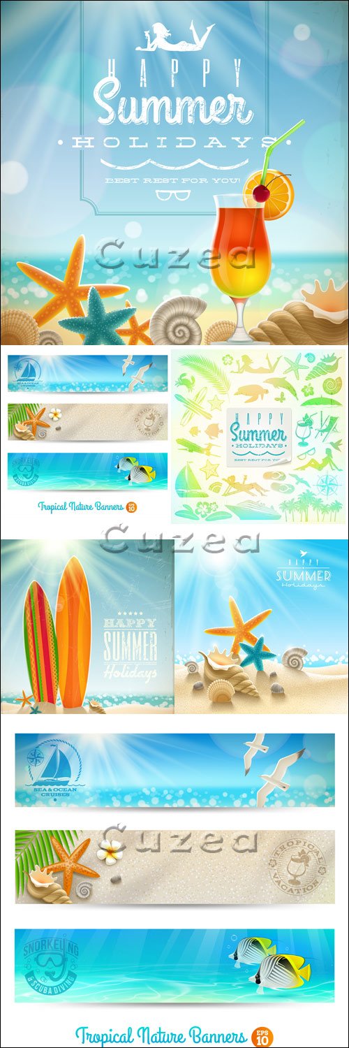   / Summer vector tropical background