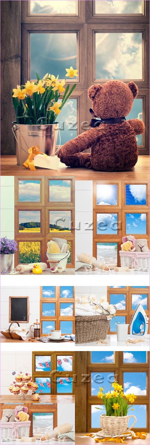    / Windows and spring flowers - Stock photo