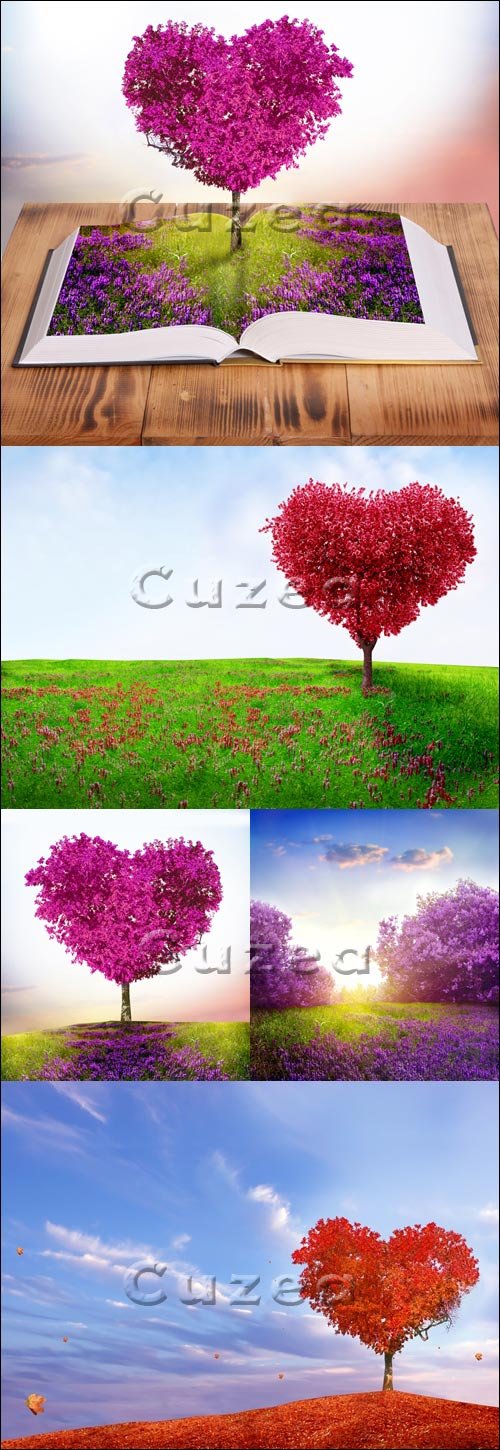  / Tree of love - Stock photo