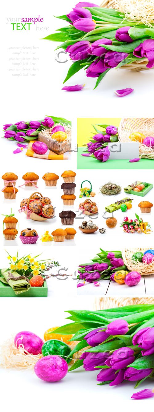      / Tulips and easter eggs - Stock photo