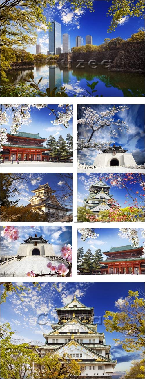     / Osaka castle and sakura for adv or others purpose use - Stock photo