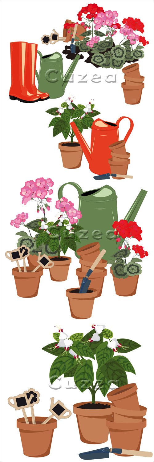  ,      / Flowers in the garden rubber boots and watering in vector
