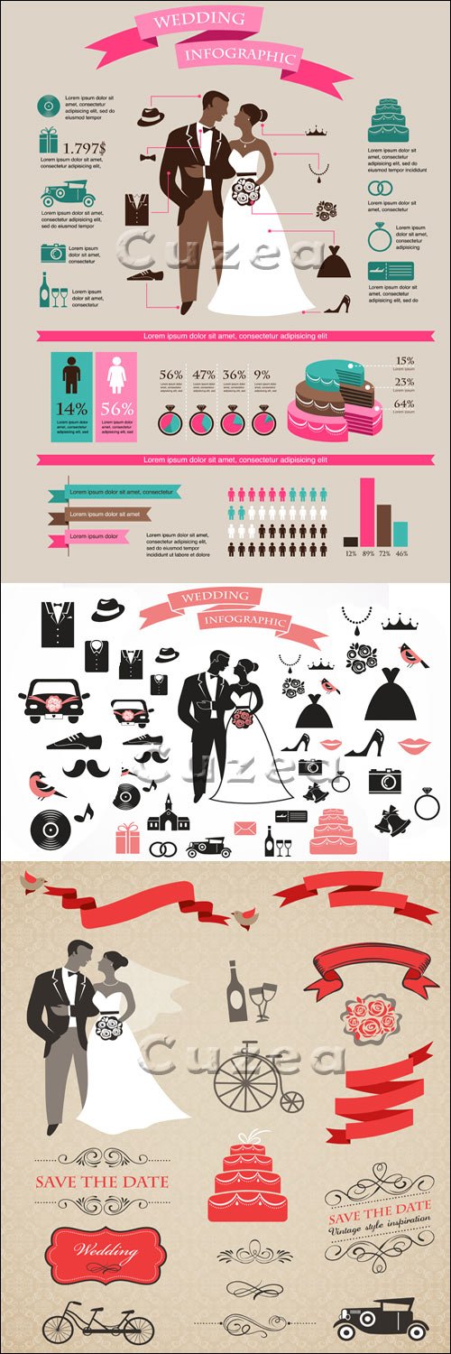    / Wedding infografic elements in vector
