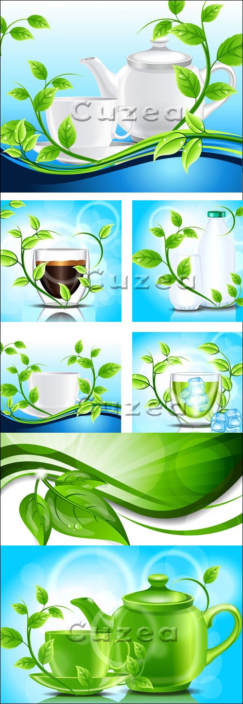 ,      / Green leaves and cup in vector
