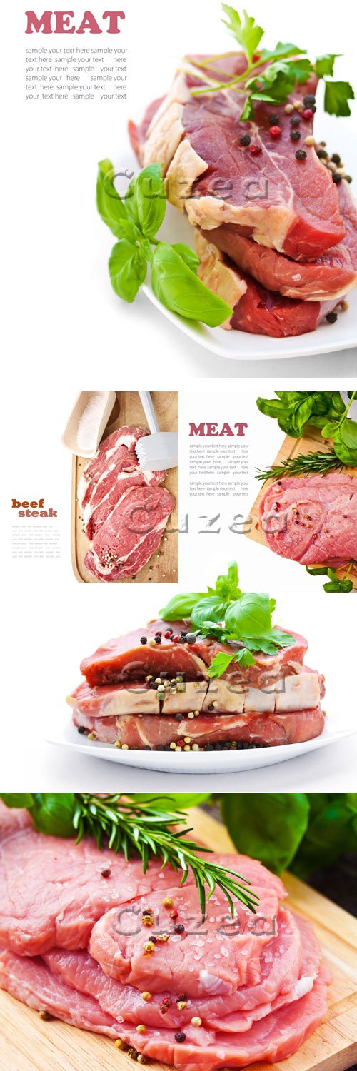        / Fresh meat background - Stock photo