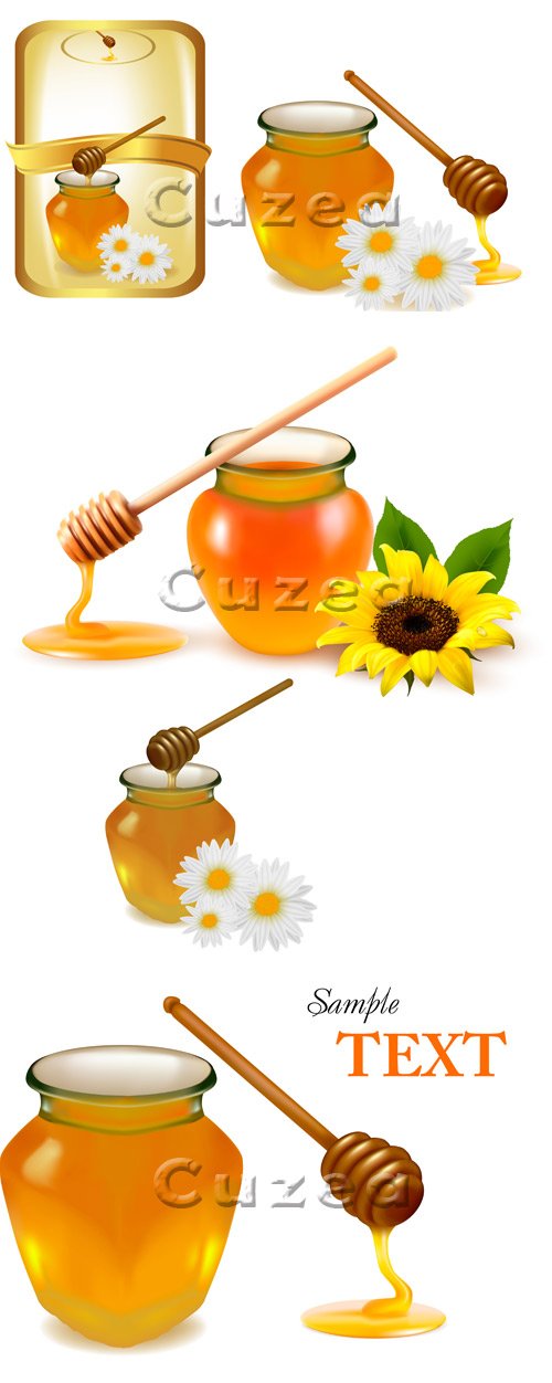 ̸    / Background with honey - vector stock