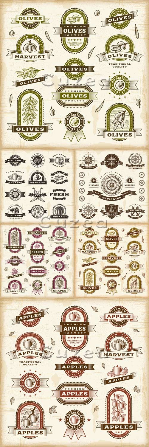     / Organic and food labels - vector stock