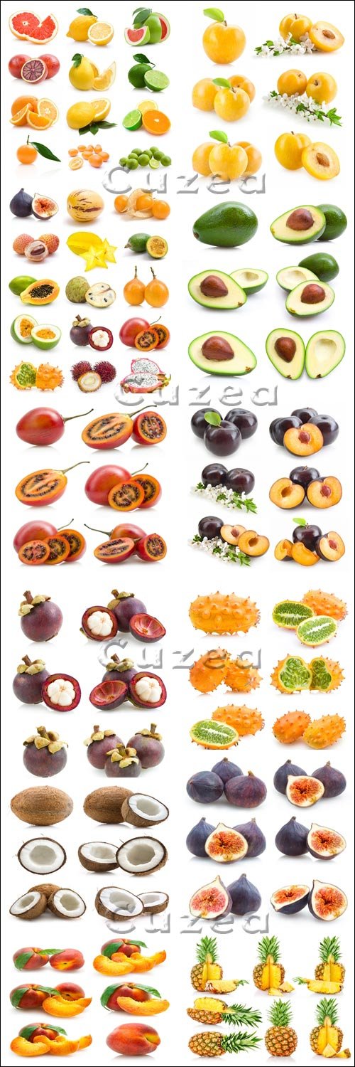    / Mega collectoin of fruits -  Stock photo